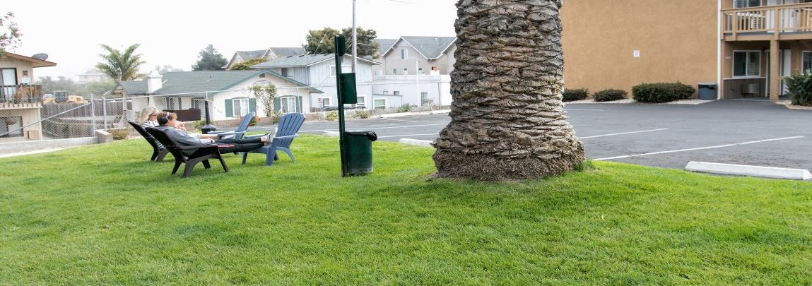 Ocean Palms Motel Pismo grassy area